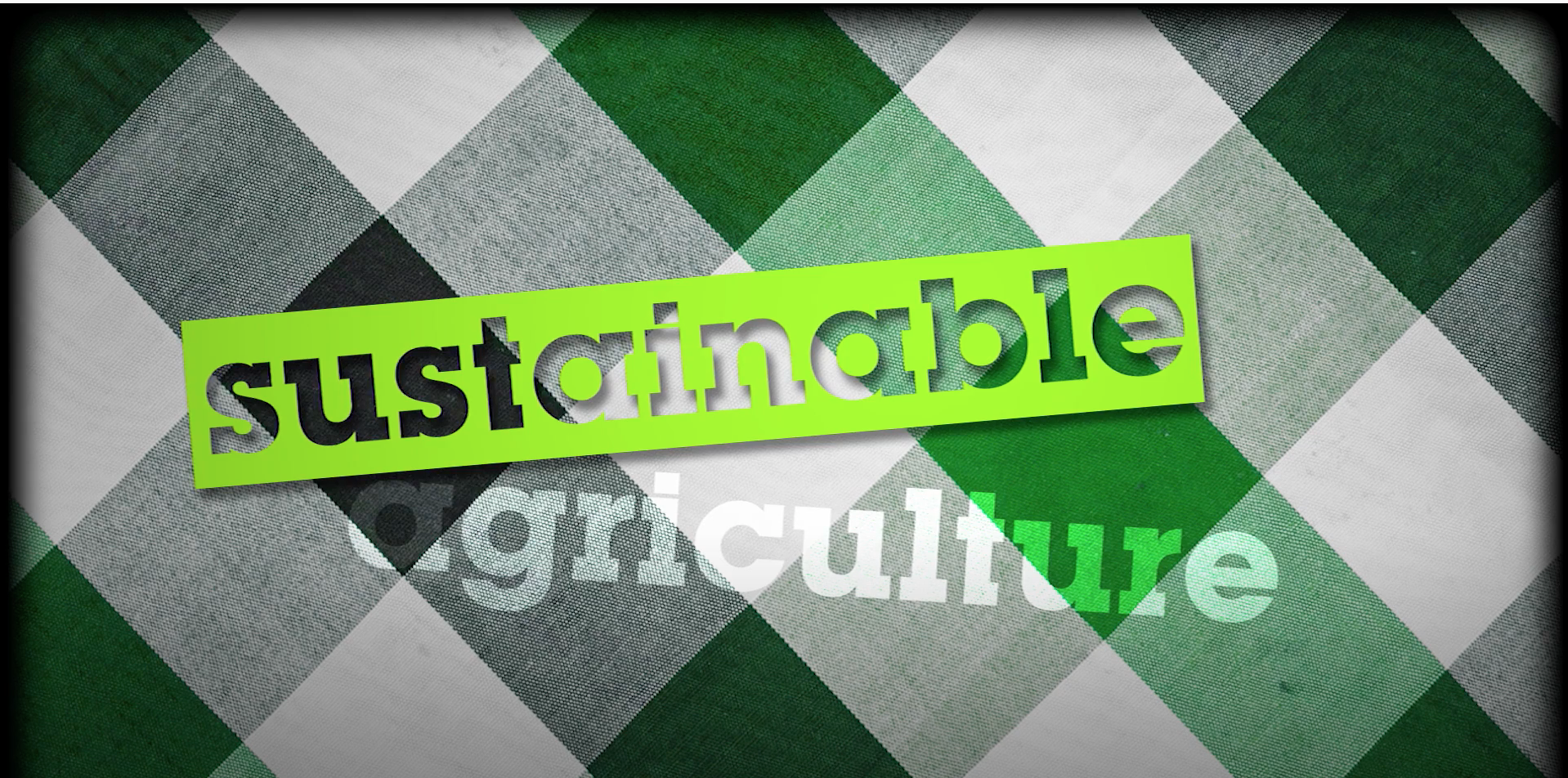 Intensive Vs Sustainable Agriculture